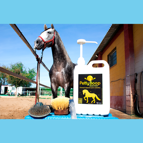 Cleanser lanza un champú especial para caballos que mantiene el pH del pelo y está libre de parabenos y alérgenos